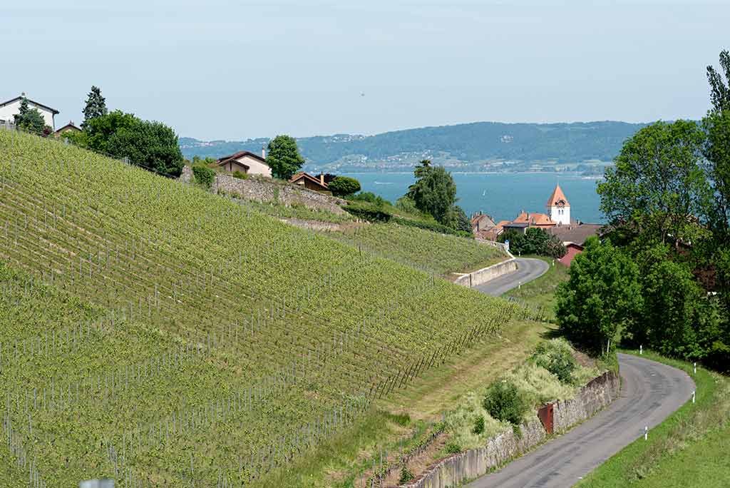 Grandson depuis la route de Giez